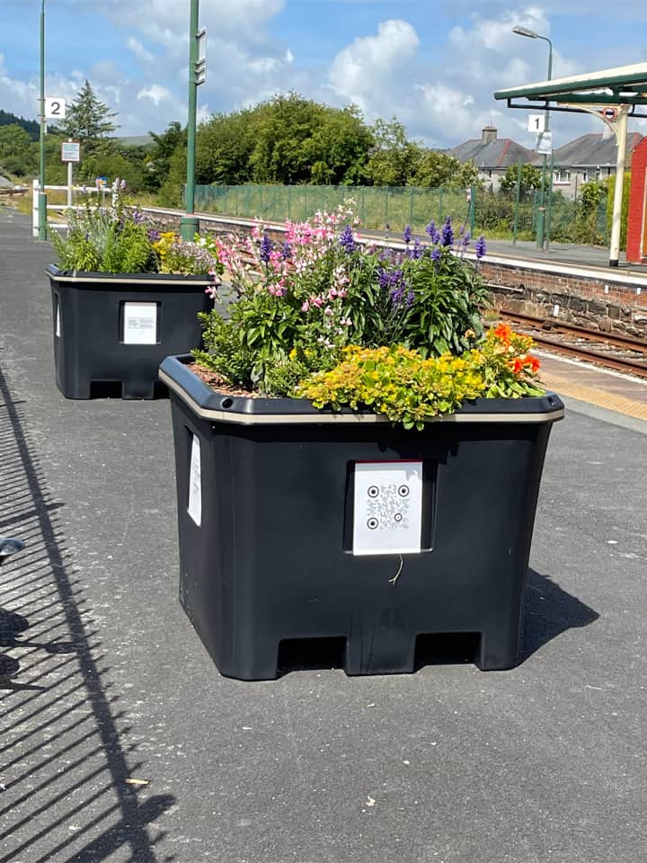 Llandudno Junction After